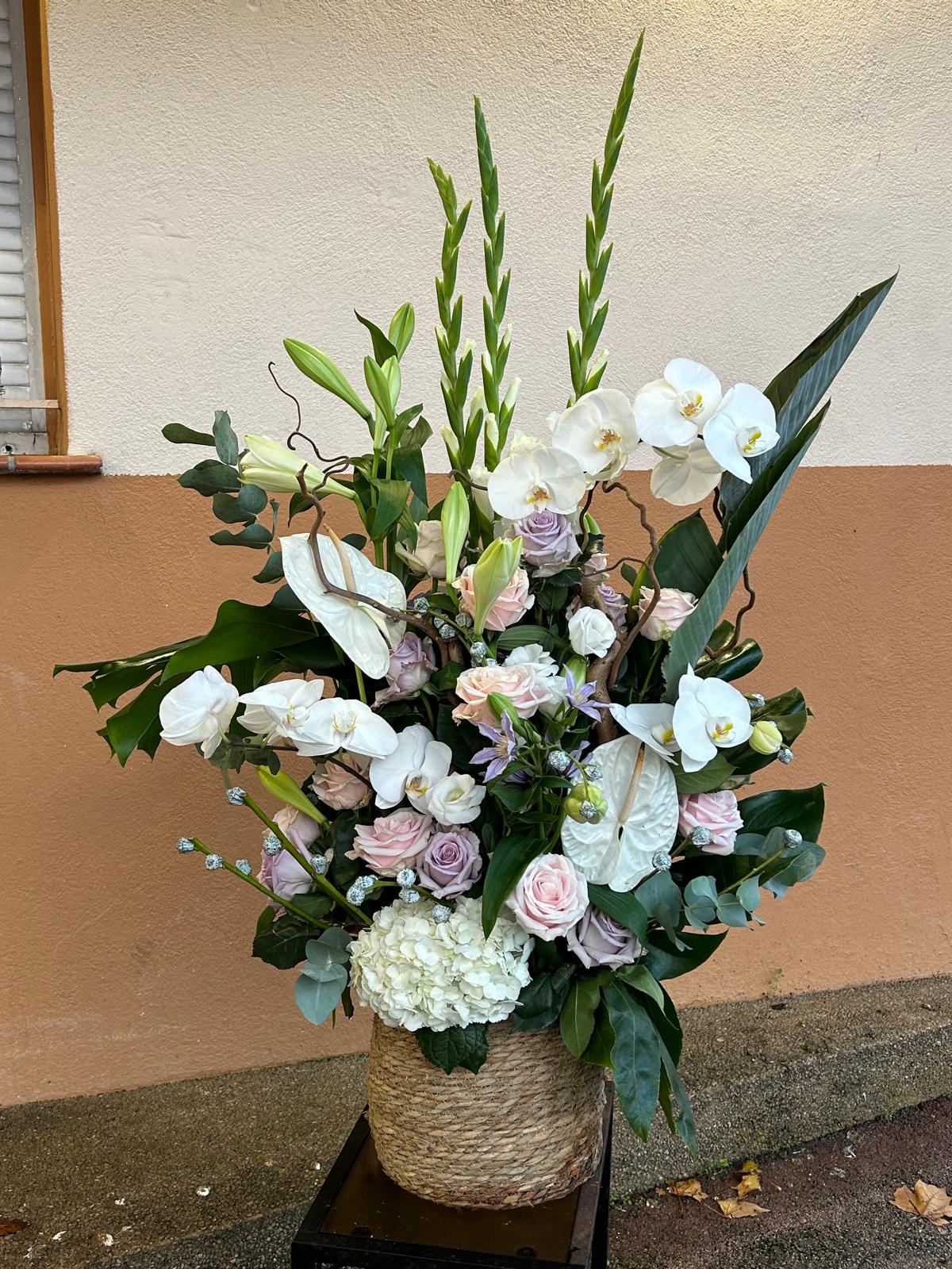 Grande pièce -150 - 300€ - 4