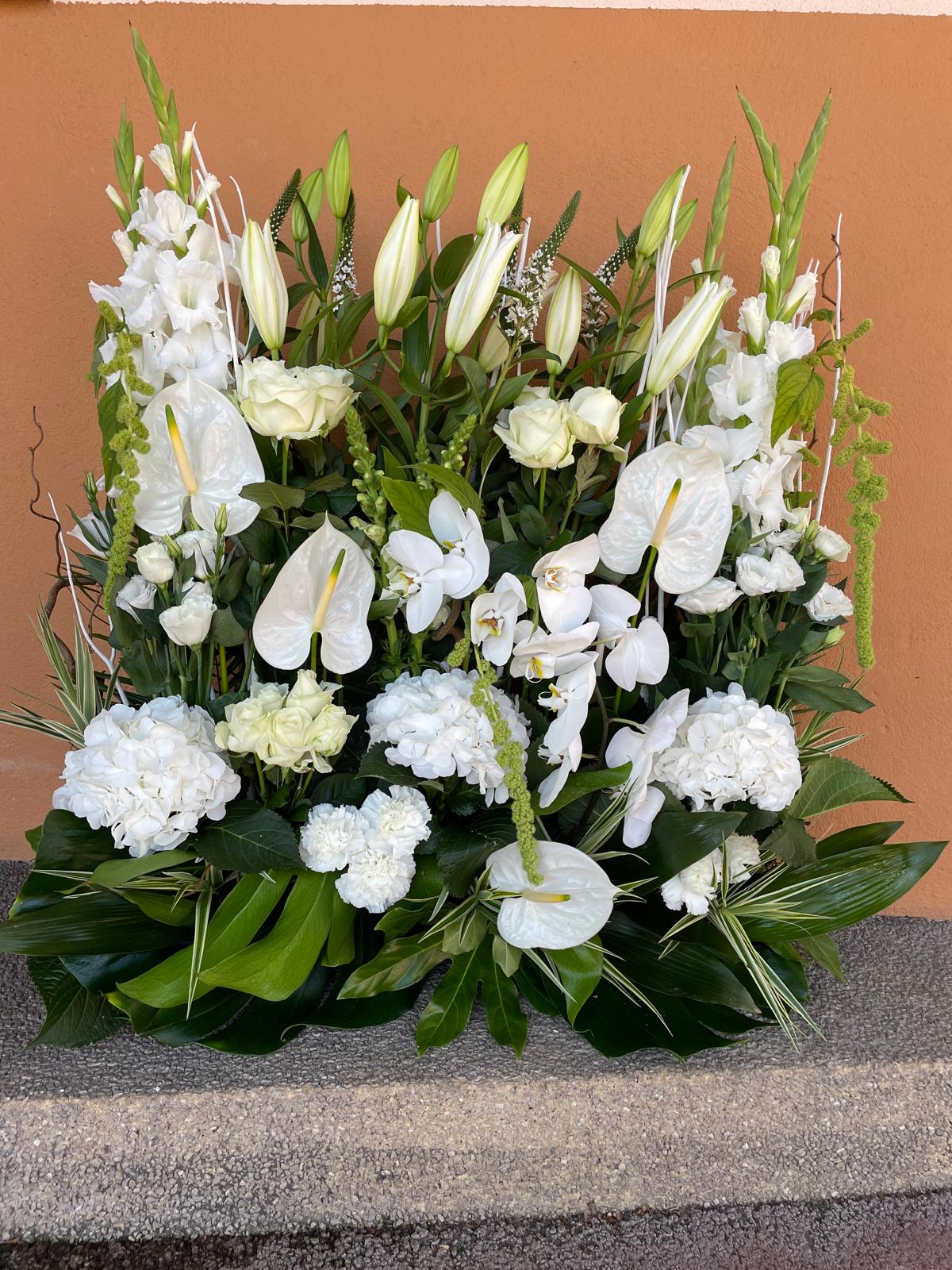 Grande pièce -150 - 300€ - 1